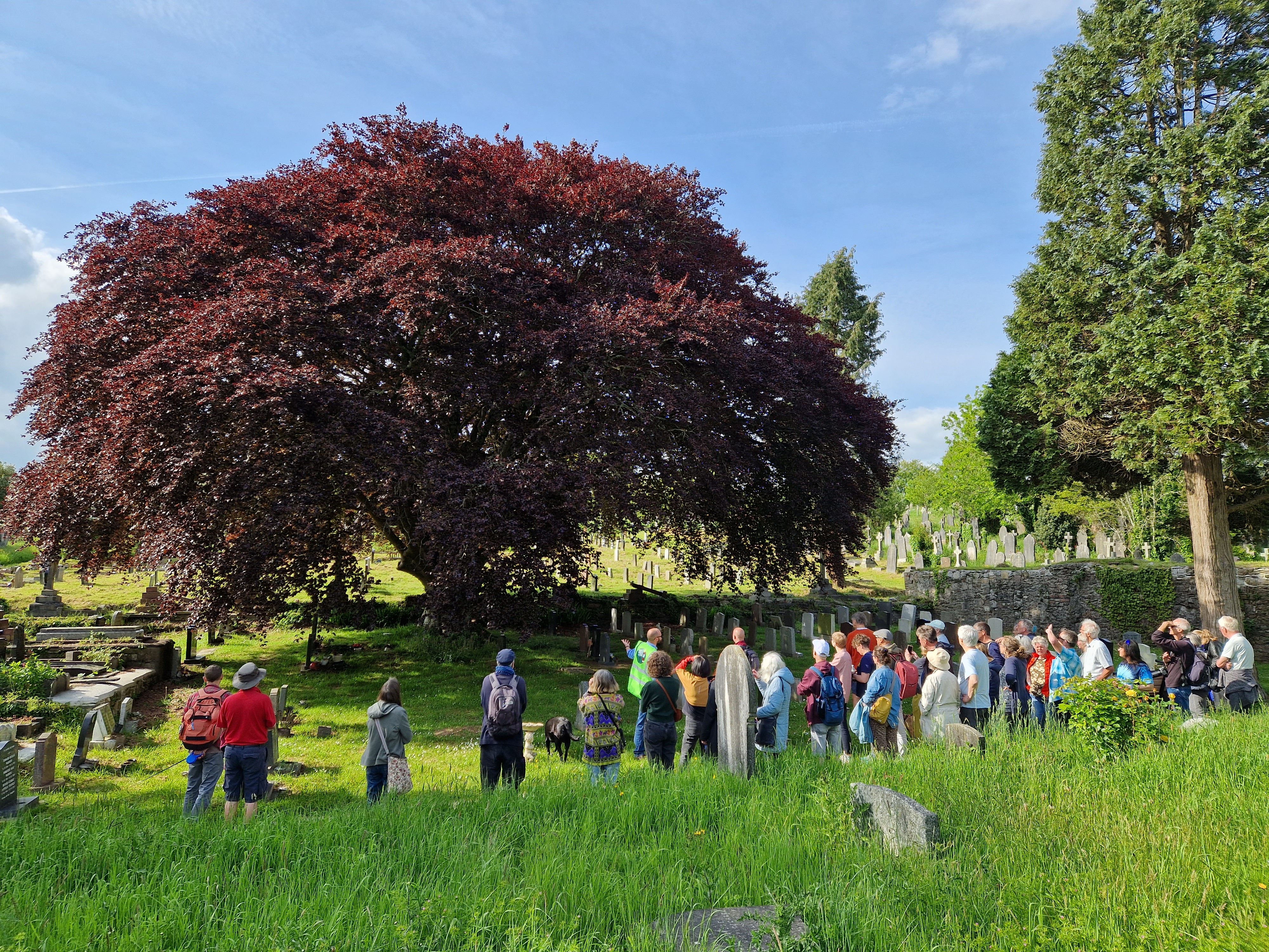 Ford Park Cemetery guided walk