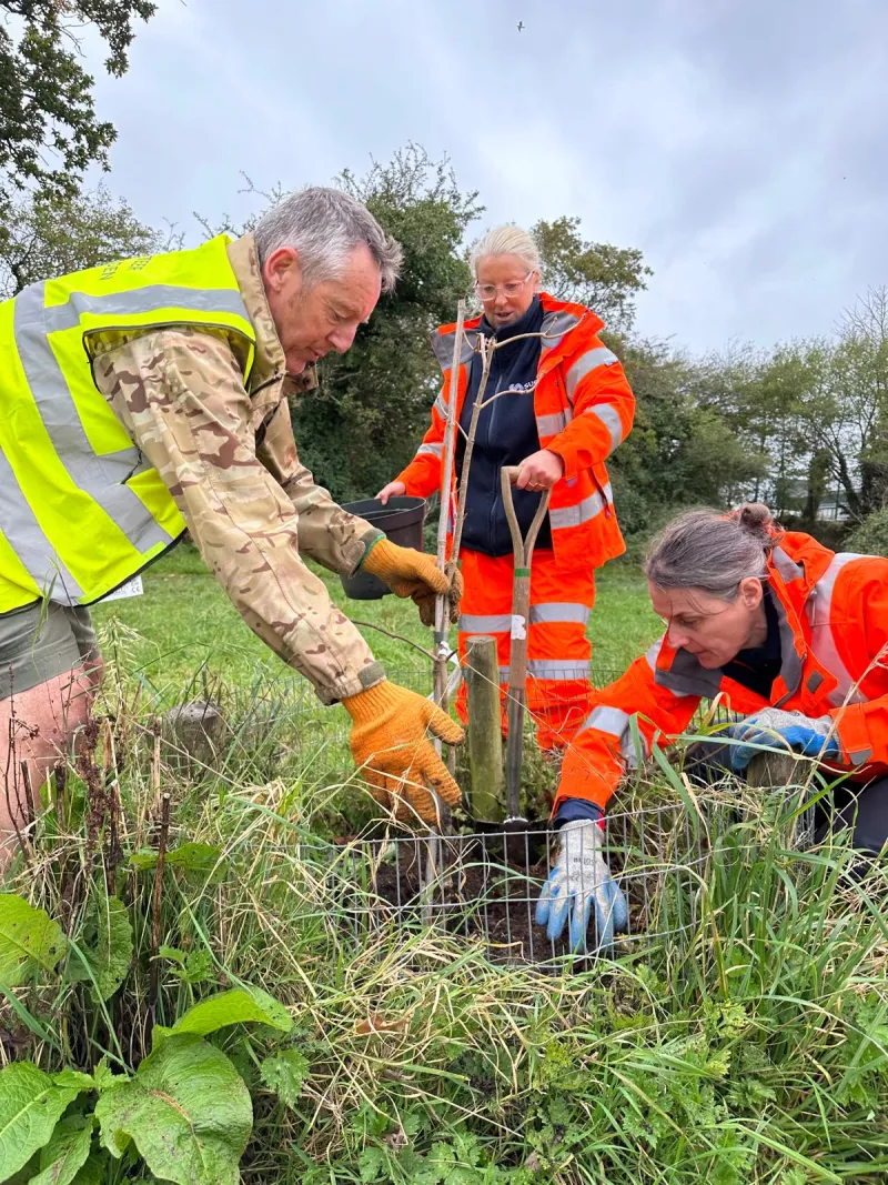 Planting trees