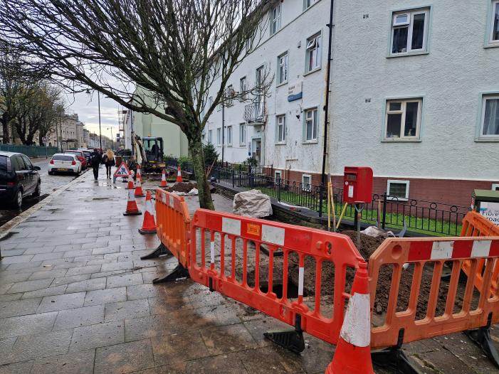 Only a few of the original trees remain