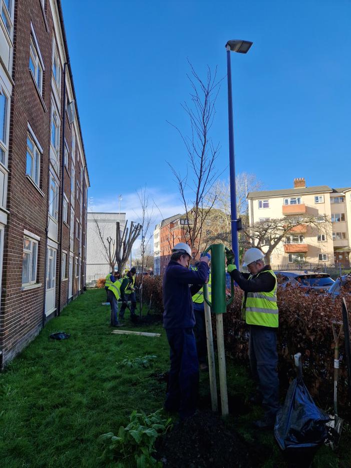 Ryan and Chris putting in the stakes