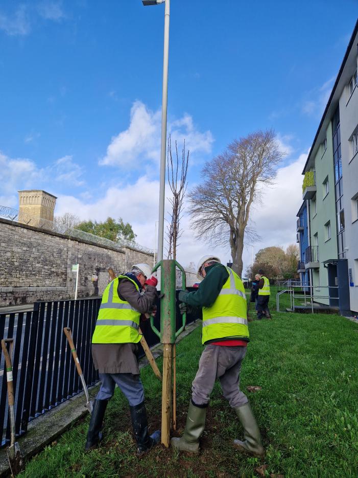 Whacking in the stakes