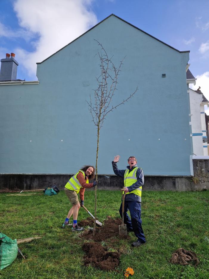 Josh and Ryan and their Honey locust