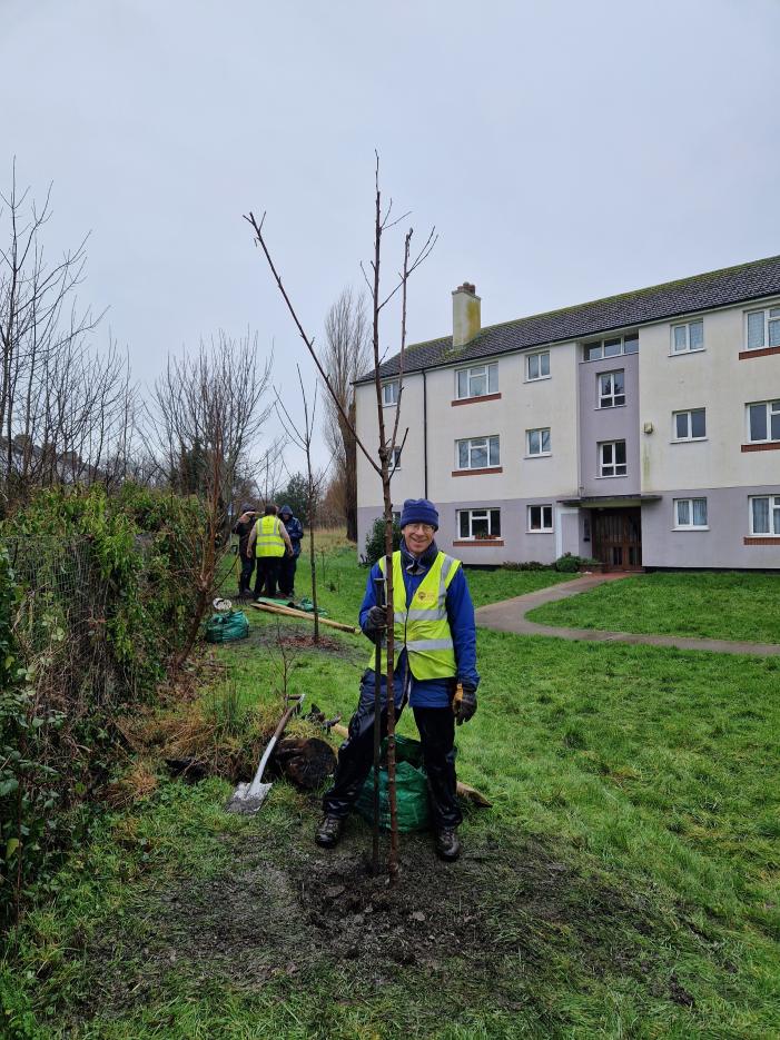 Andrew planting a cherry