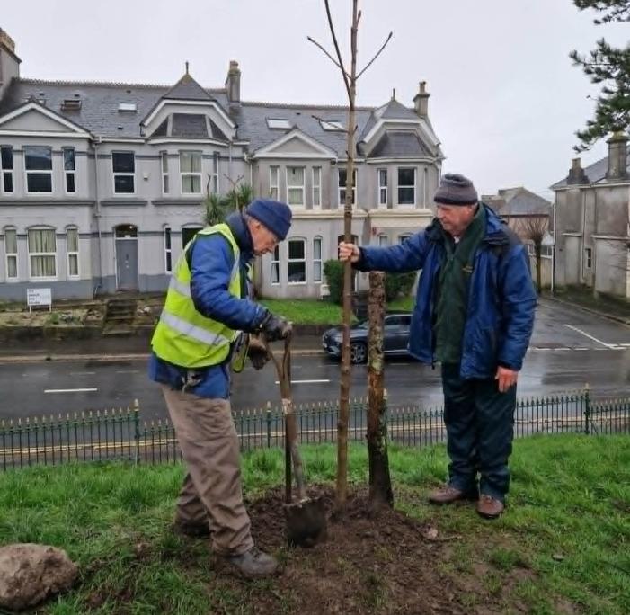 Andrew and Jacques planting a tree