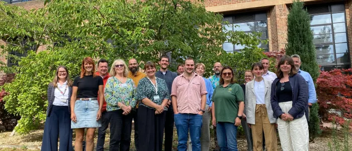 A fantastic group of tree people