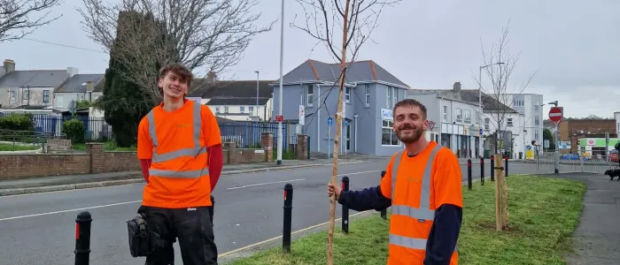 Arborcure were employed to plant the trees