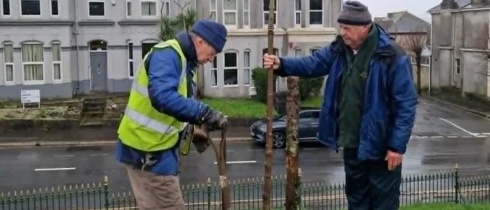 Andrew and Jacques planting a tree