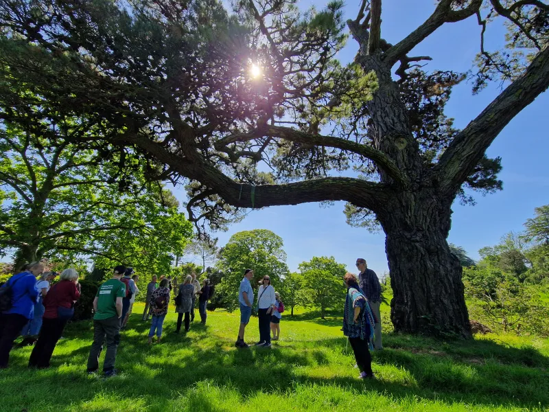 A tour of Pounds House Park