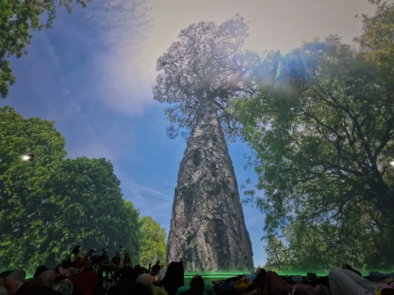 Sound and forest bathing in the Immersive Dome