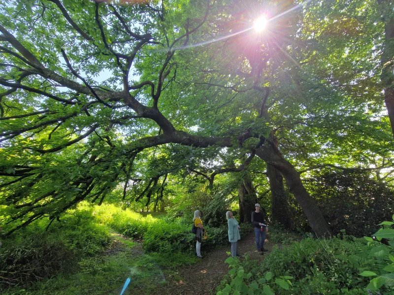 A tour of Collings Community Park