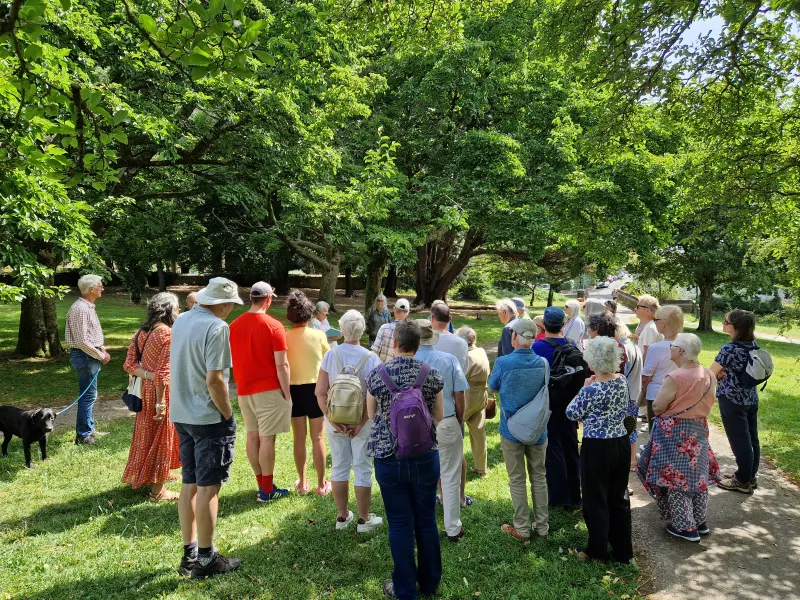 Lots of trees to see and discuss