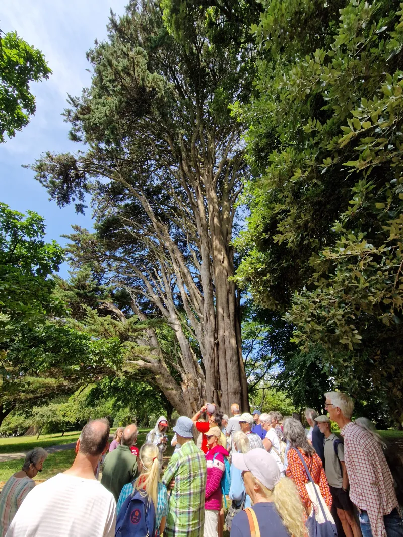 Lots of trees to see and discuss