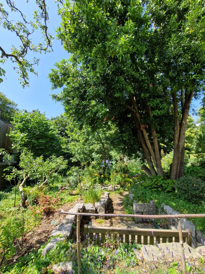 The Park Pharmacy Trust garden