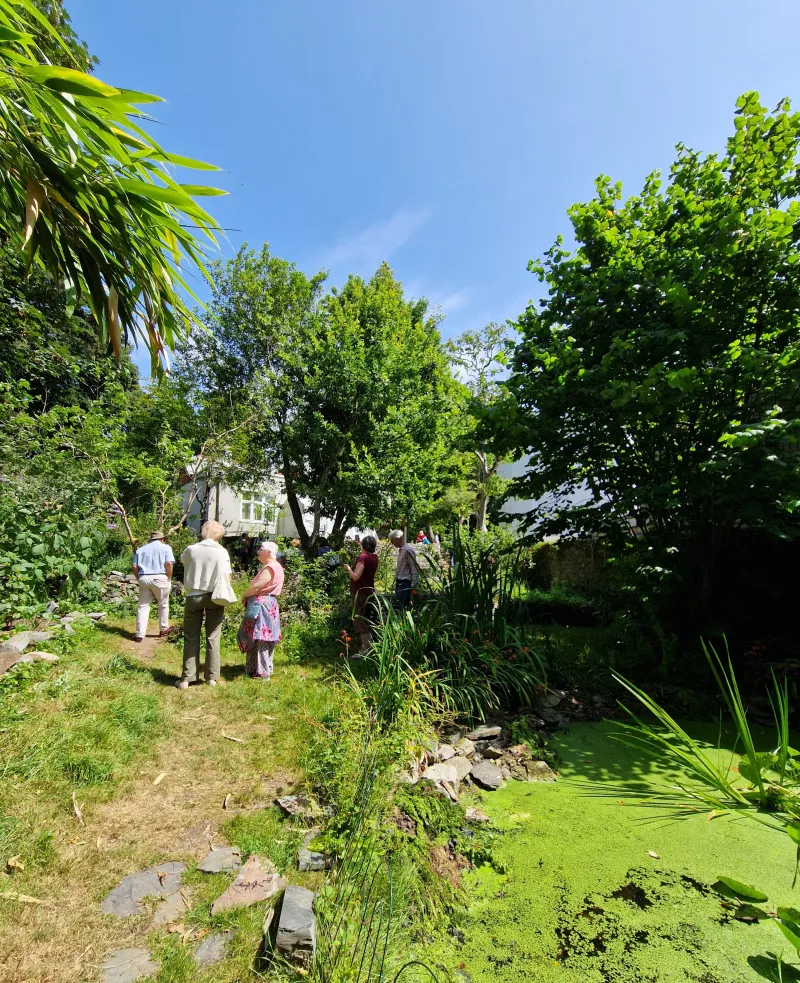 The Park Pharmacy Trust garden