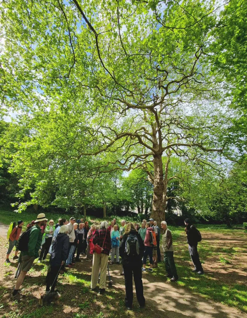 Guided walk of Stoke Damerel Cemetery