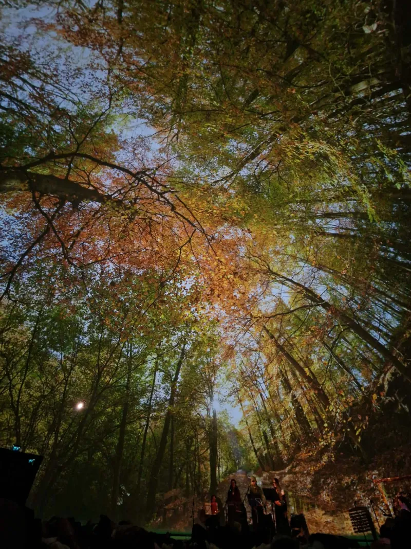 Immersive dome forest bathing