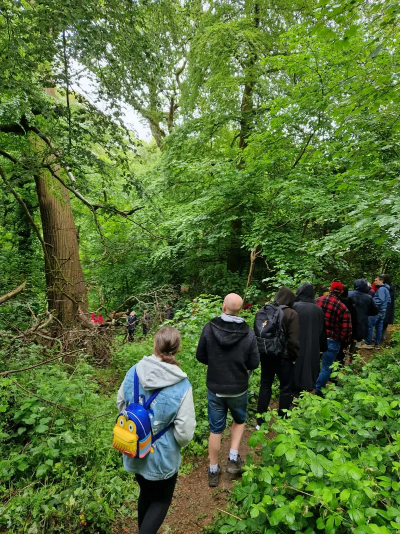 Guided walk in Bluebell Woods