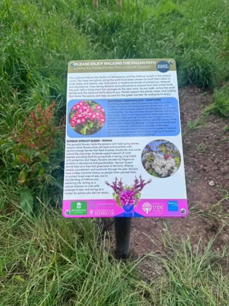 One of the Pasley Street Pocket Park interpretation boards