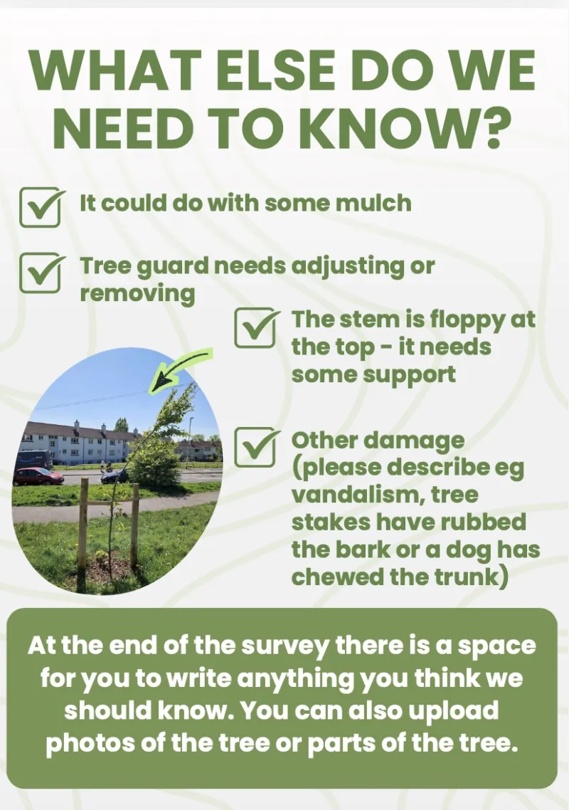 Our guick survey guide