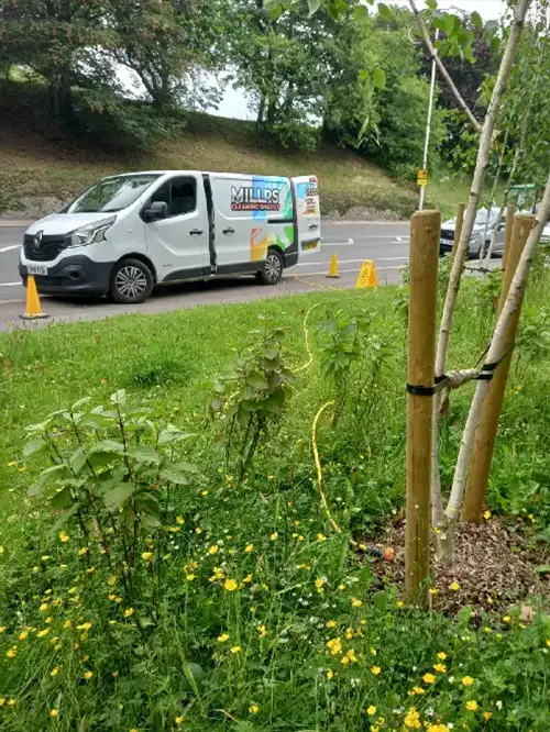 Tree watering