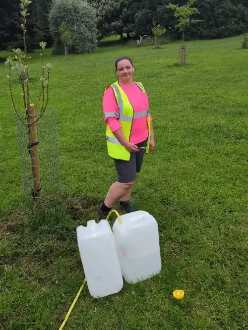 Tree watering